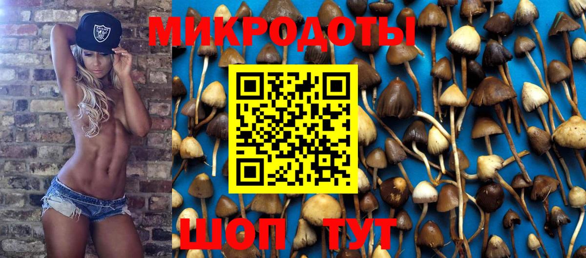 Псилоцибиновые грибы Cubensis  Вход с VPN  сколько стоит  Спасск-Дальний 